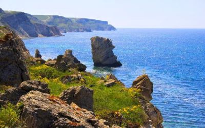 Джангуль